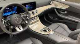 MERCEDES-BENZ E-CLASS E 53 AMG full