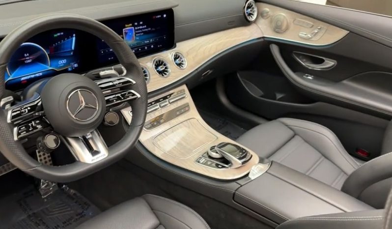 MERCEDES-BENZ E-CLASS E 53 AMG full