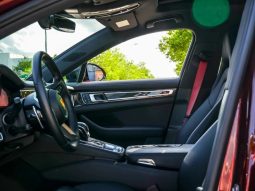 orsche 971 Panamera 4 E-Hybrid full