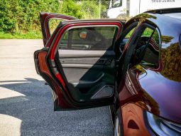 orsche 971 Panamera 4 E-Hybrid full